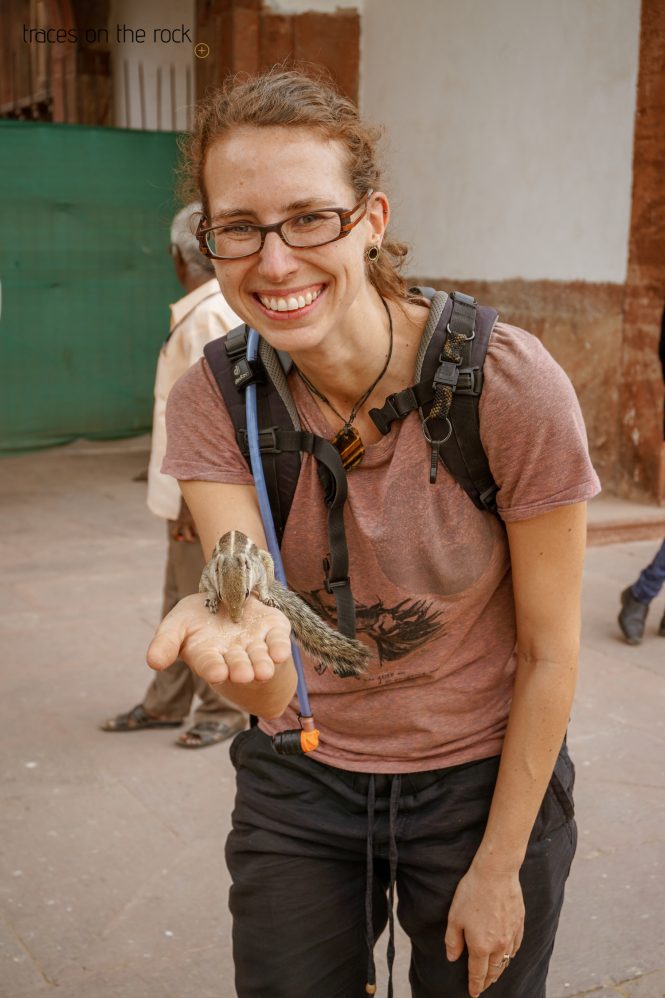 Squirrel love in Agra Squirrel love in Agra