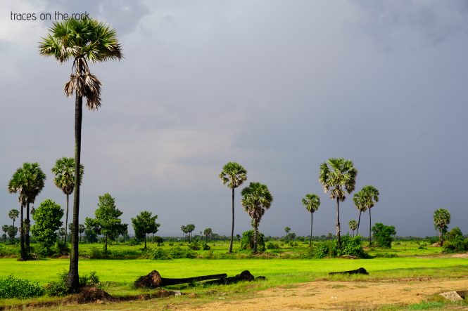 Route 67 near Siem Reap