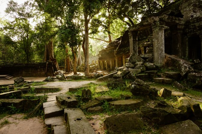 Ta Prohm Temple near Angkor Wat