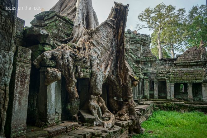 Preah Khan Temple near Angkor Wat