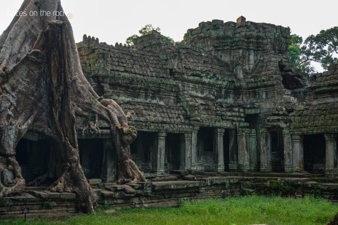 Preah Khan Temple near Angkor Wat
