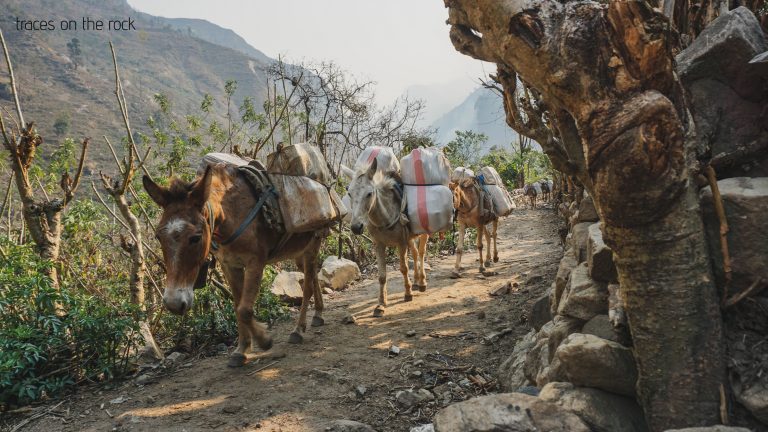 Manaslu Trek - Machhakhola Manaslu Trek - Machhakhola