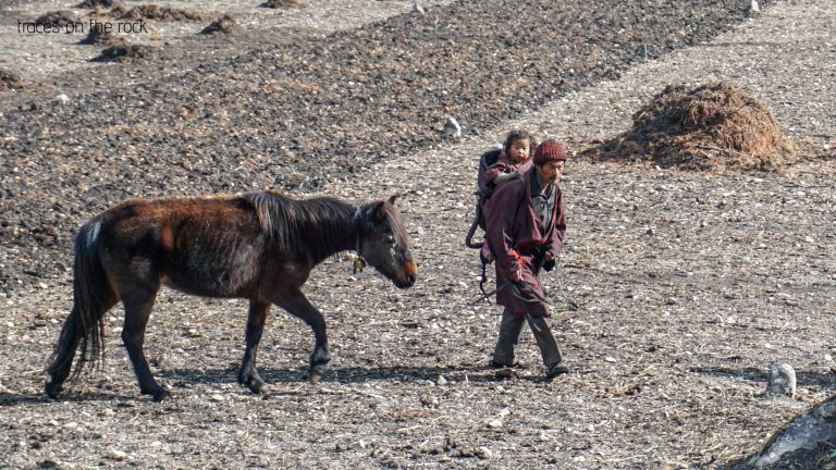 Manaslu Trek - Trek from Namrung to Lho Manaslu Trek - Trek from Namrung to Lho