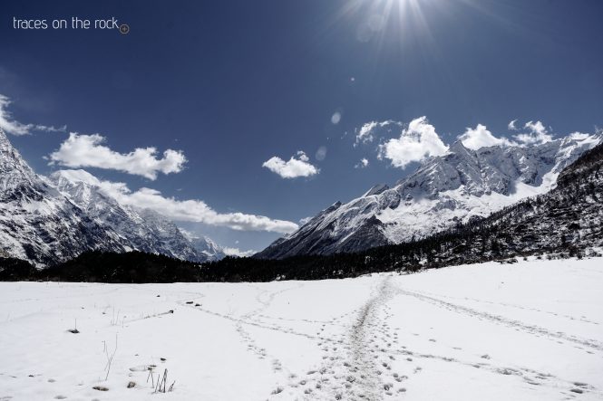 Manaslu Trek - Trek from Lho to Samagaun Manaslu Trek - Trek from Lho to Samagaun