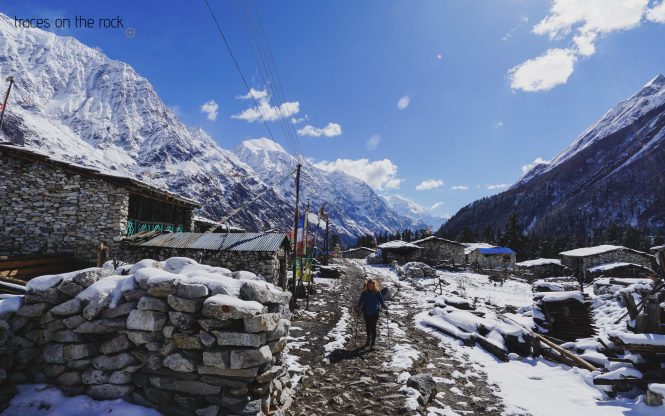 Manaslu Trek - Trek from Lho to Samagaun Manaslu Trek - Trek from Lho to Samagaun