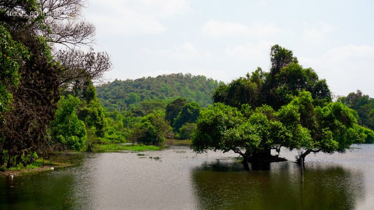 Landscape of Goa Landscape of Goa