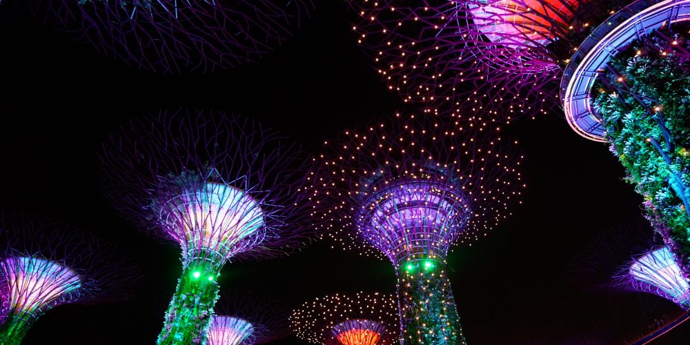 Night show at Gardens by the Bay in Singapore