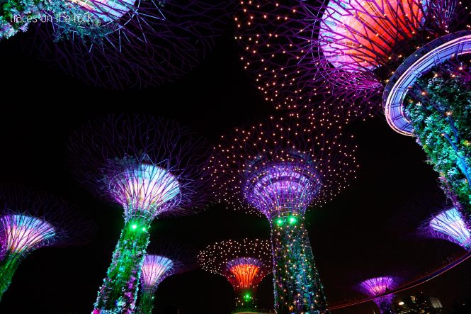 Night show at Gardens by the Bay in Singapore
