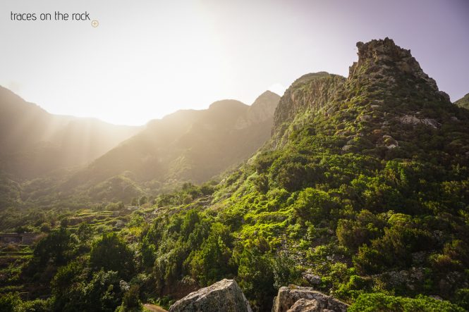Landscape of Punta del Hidalgo Landscape of Punta del Hidalgo