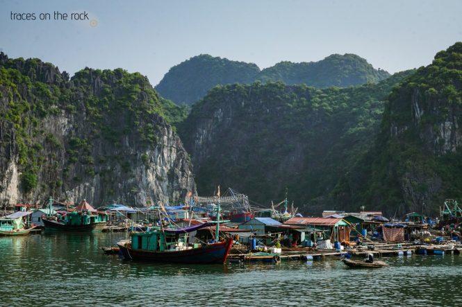 Floating village in the Halong Bay Floating village in the Halong Bay